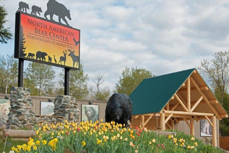 North American Bear Center, Minnesota, USA